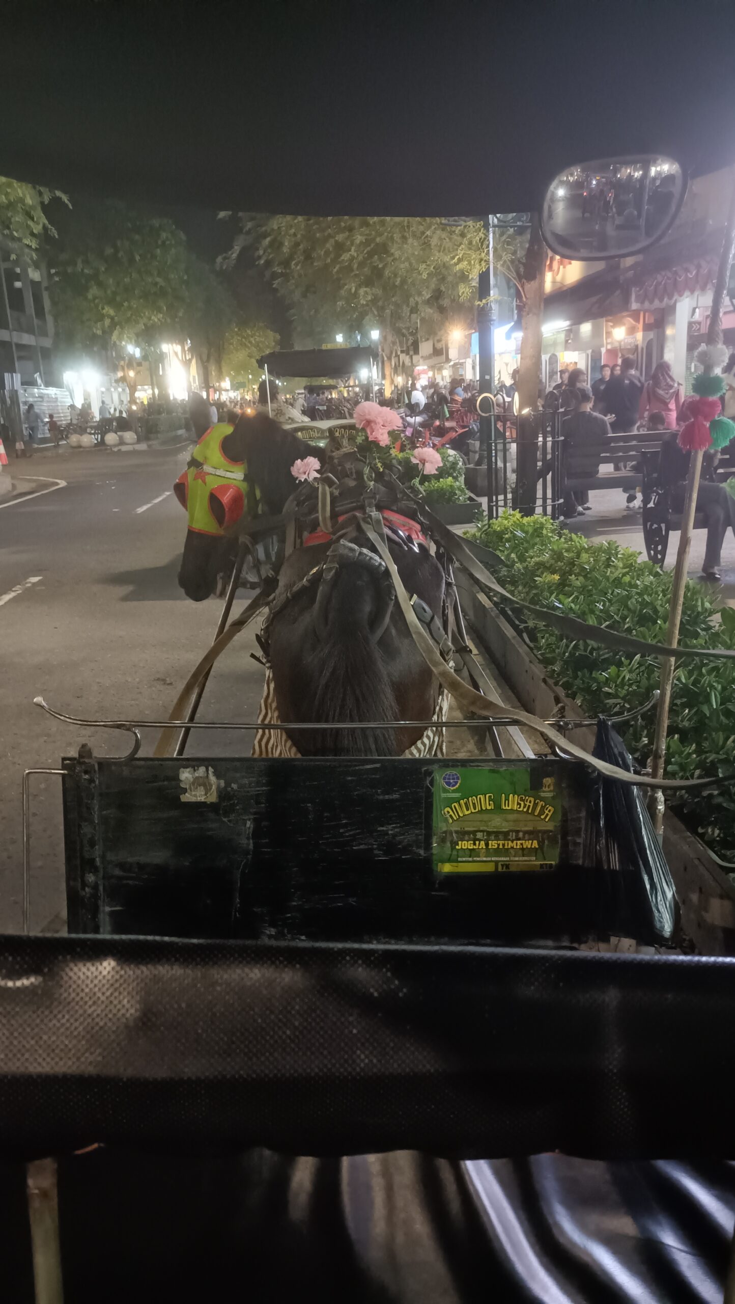 Andong Horse Ride Maliboro Night Gelato 